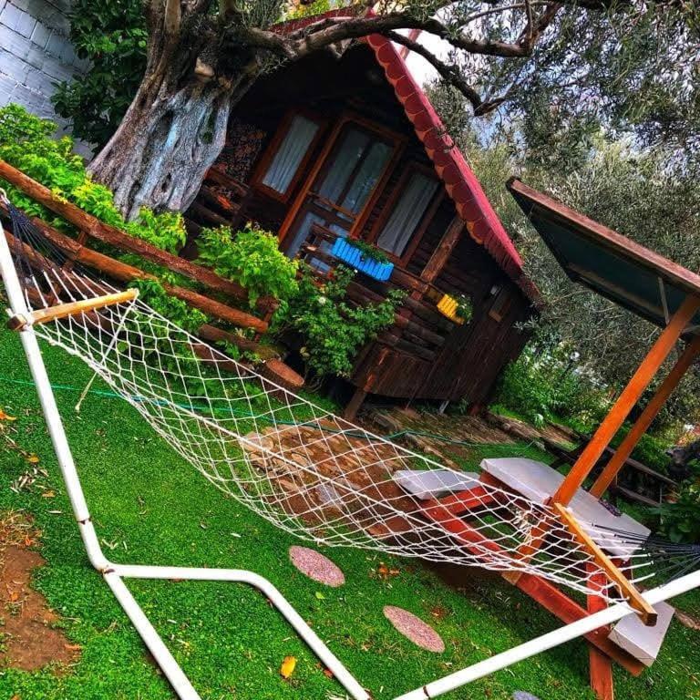 Zeytindagi Bungalow Mehmetalani Ngoại thất bức ảnh